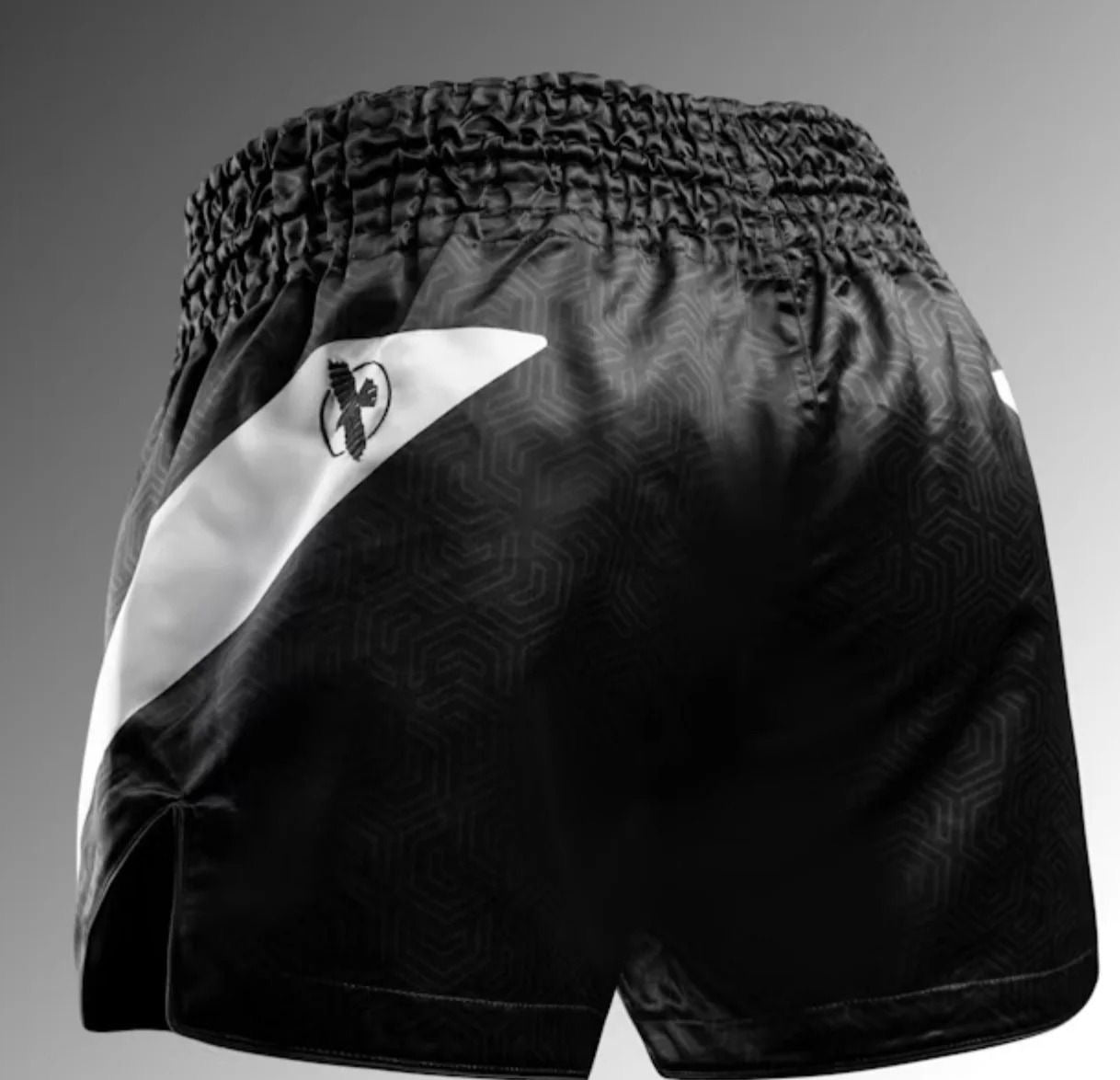 Hayabusa Core Muay Thai Shorts Black