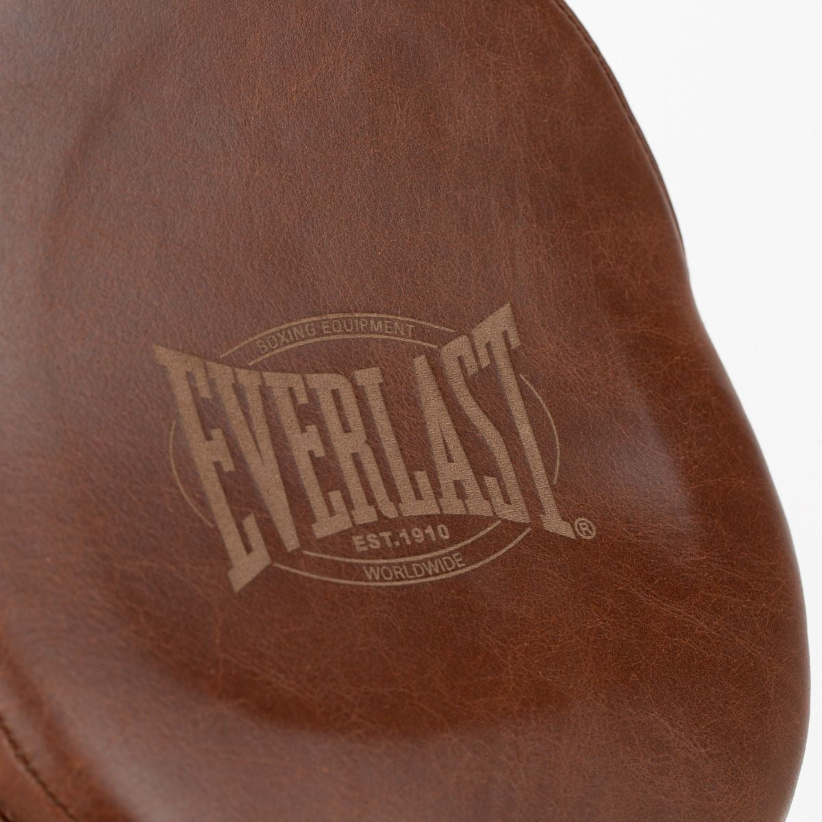 EVERLAST 1910 FOCUS MITTS, BROWN, ONE SIZE