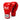 Everlast Amateur Boxing Gloves (Kick)Bokshandschoenen