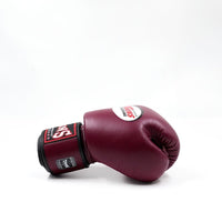 Twins special bokshandschoenen voor boksen en kickboksen